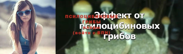 прущие крисы Зеленодольск