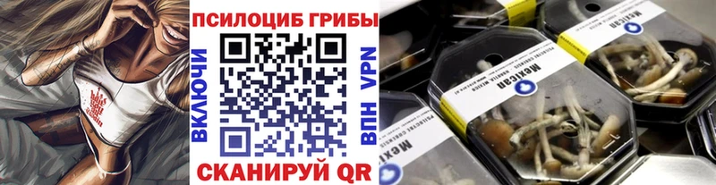 Галлюциногенные грибы ЛСД  Купить где  Саянск 